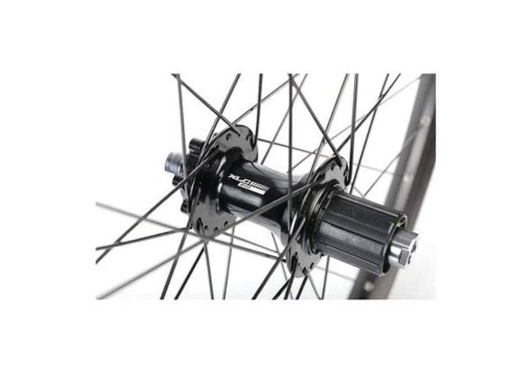 Rear wheel 29" Rodi 6-Bolt