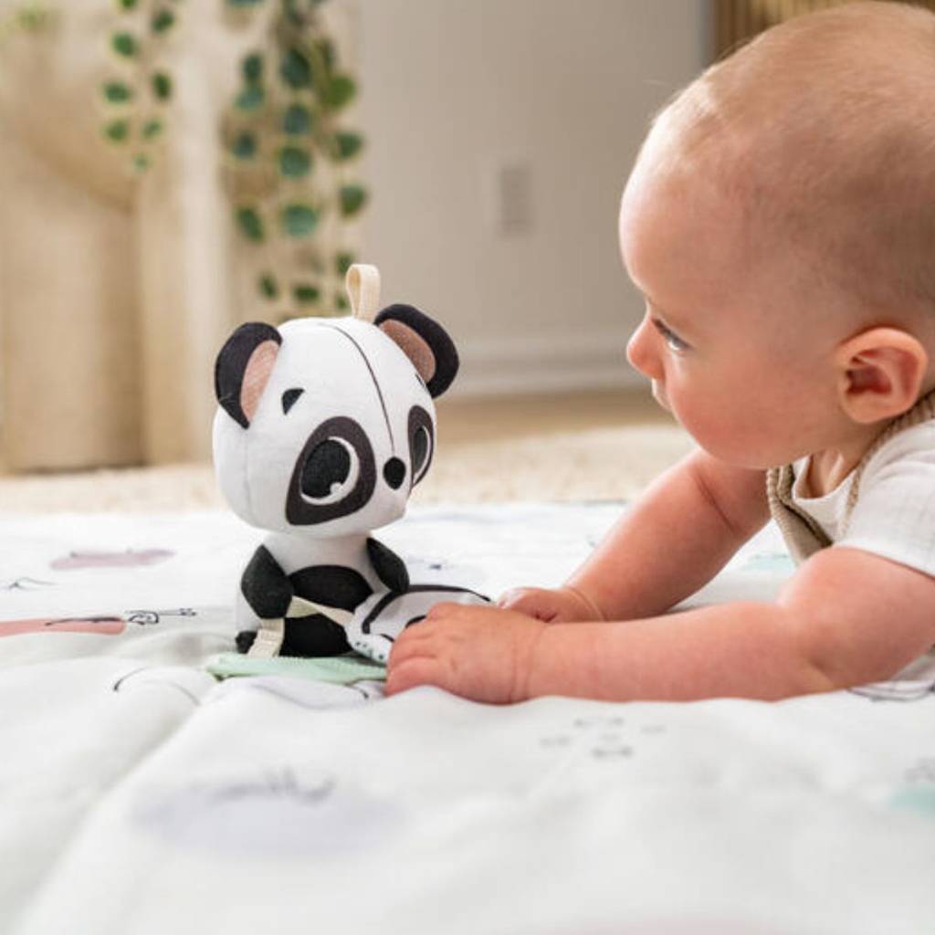 Musical Toy Black & White