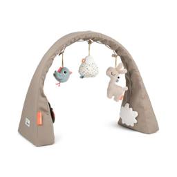 Activity Gym - Lalee