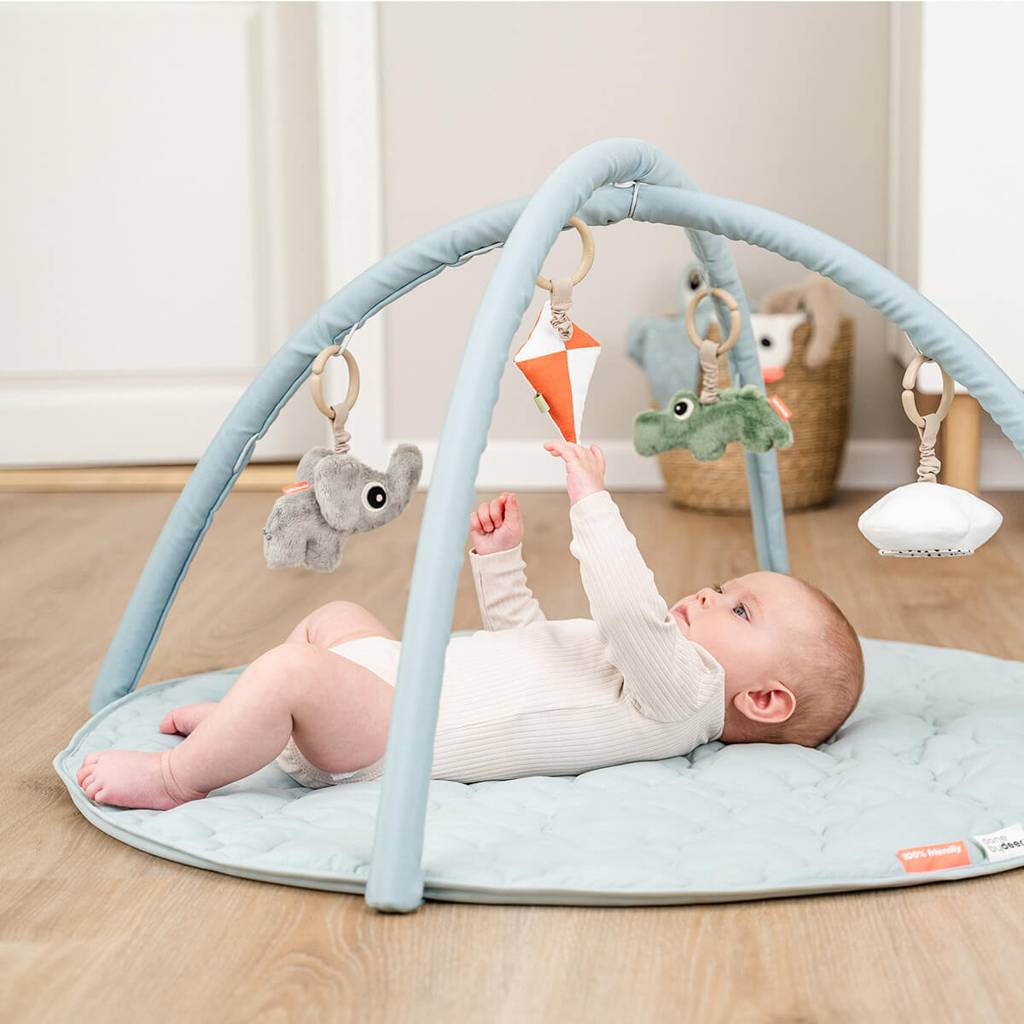 Activity Play Mat - Playground