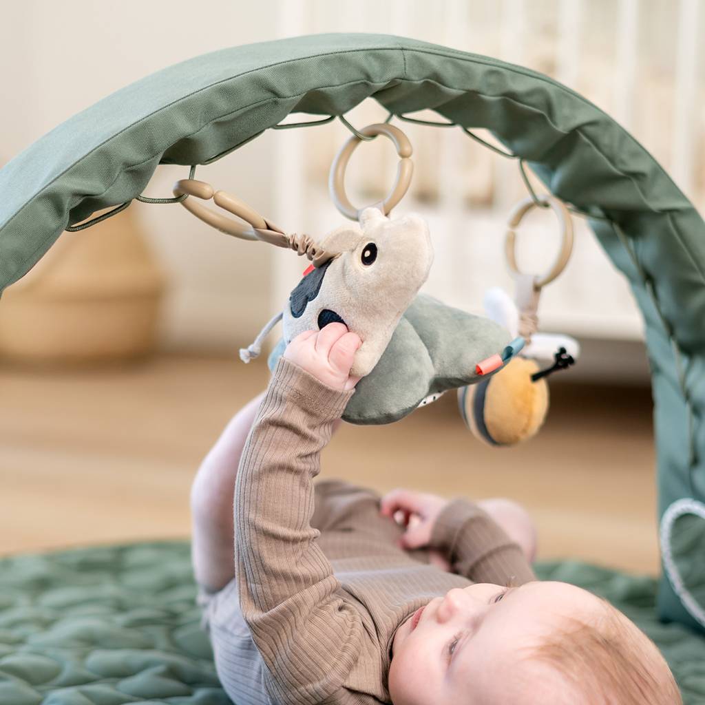 Activity Gym - Tiny farm