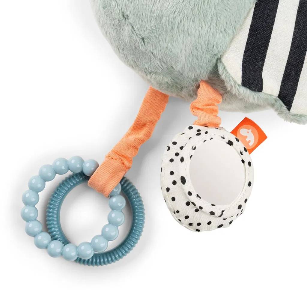 Activity Sensory Toy - Birdee