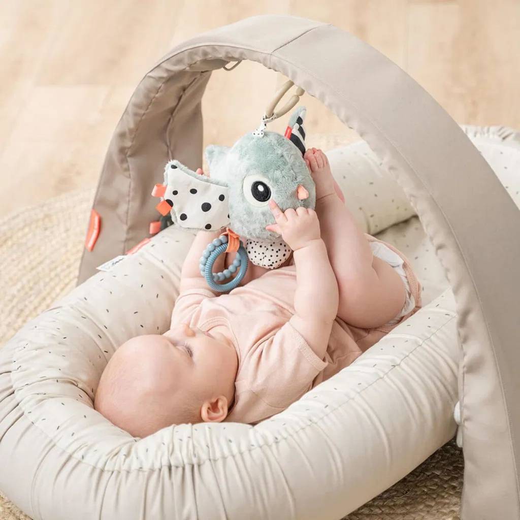 Activity Sensory Toy - Birdee