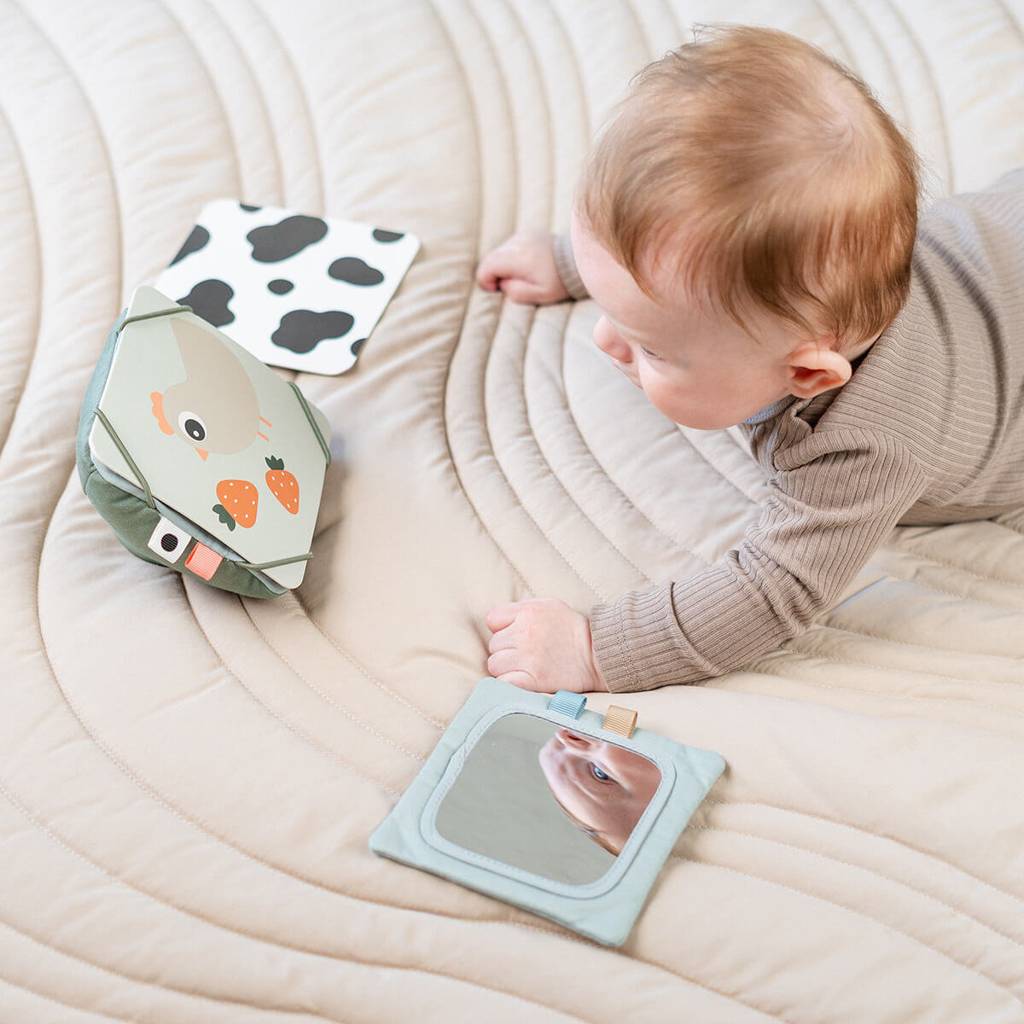 Baby Contrast Card Holder