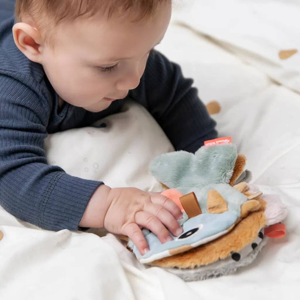 Sensory Baby Book