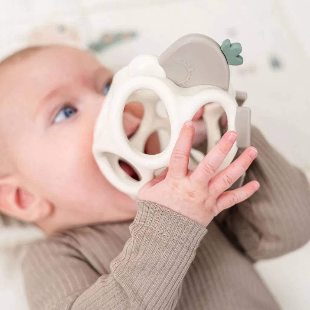 Grip & Teether Toy - Sheepy