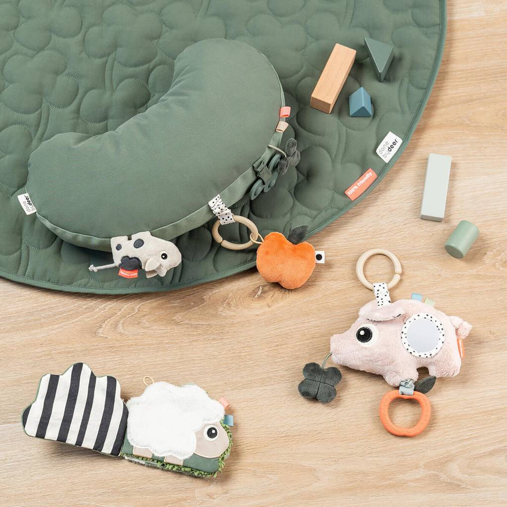 Activity Sensory Toy - Pigee
