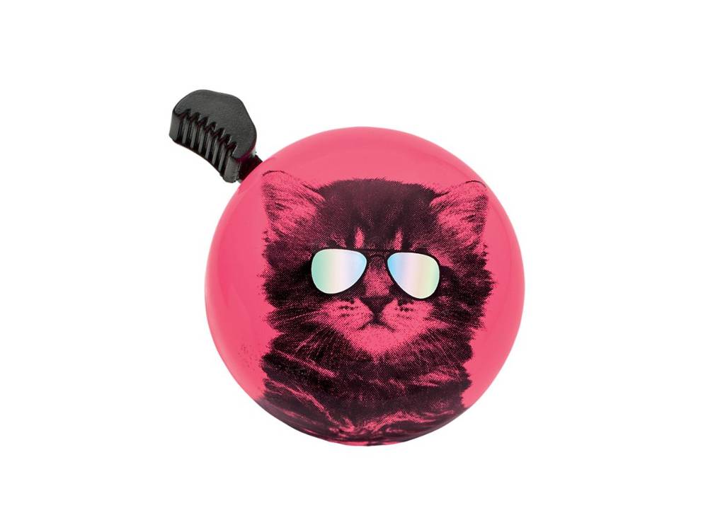 Bjalla Cool Cat
