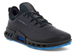 Biom C4