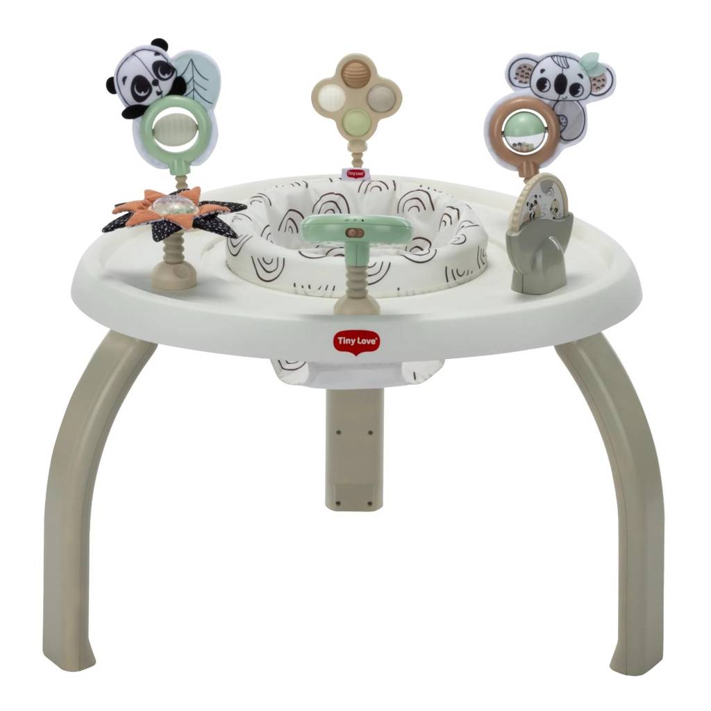 4in1 Activity Center