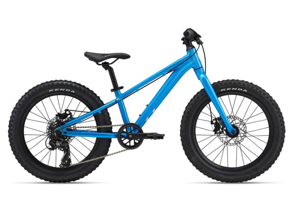 STP 20 - AI Blue
