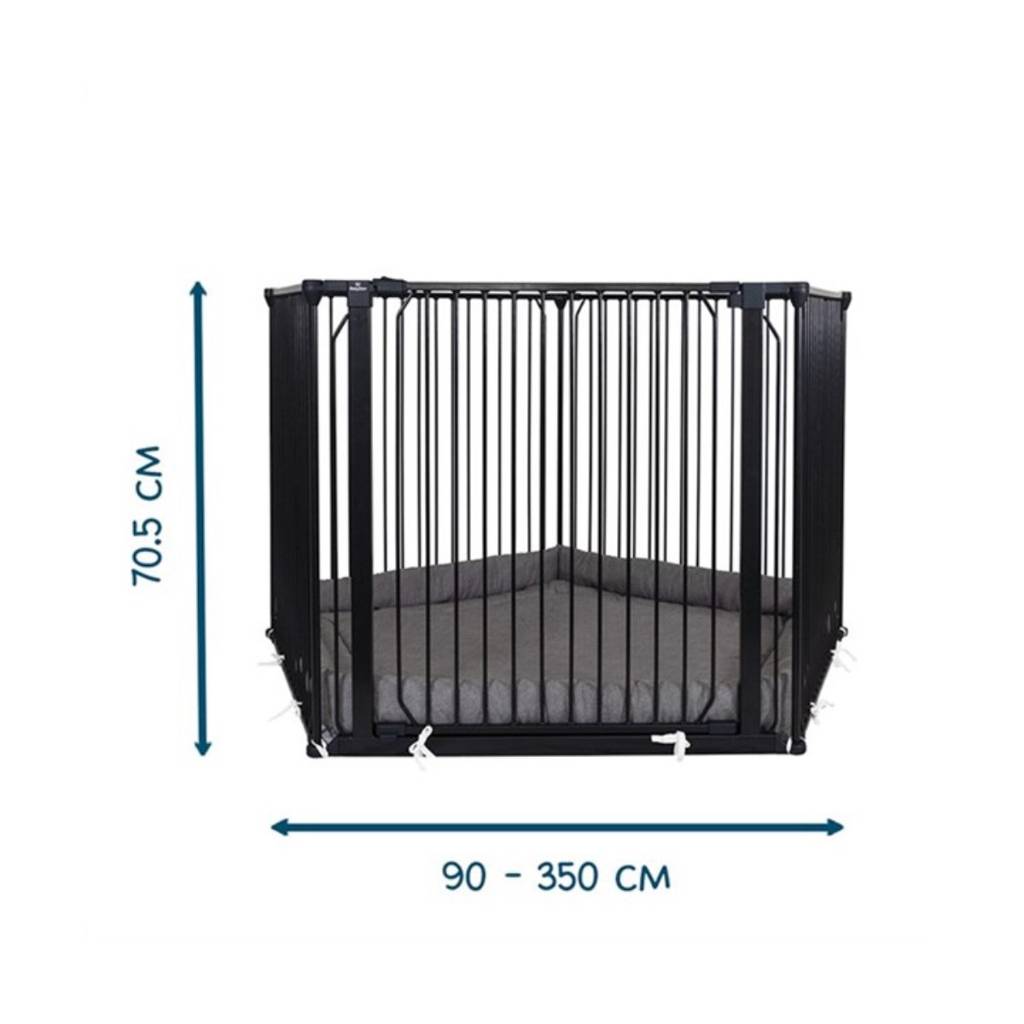 Playpen - Carl Pentagon