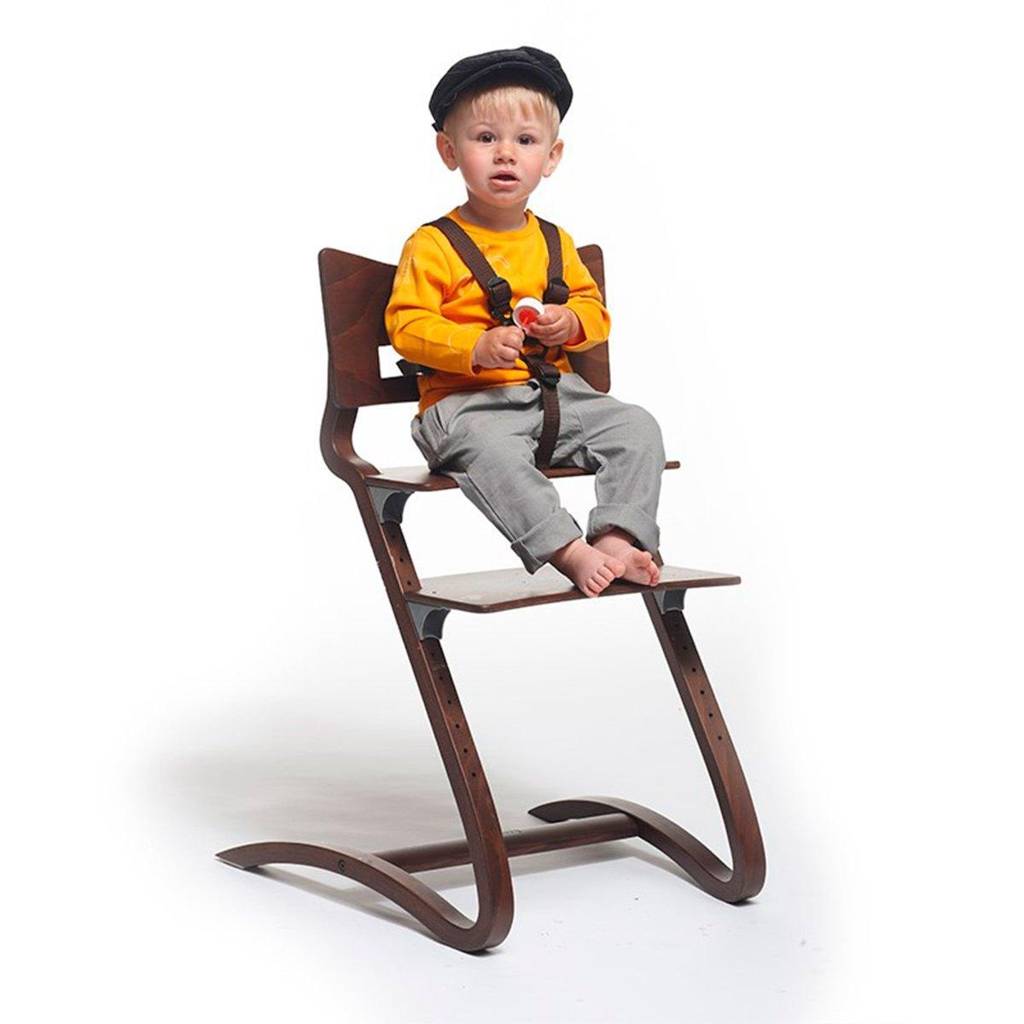 Harness Highchair