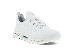 Biom C4
