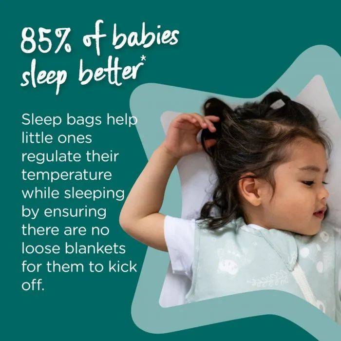 Sleep Bag 2.5 Tog / 18-36M