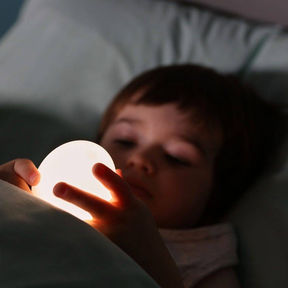 2 in 1 Penguin Night Light
