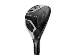 Quantum Max Hybrid